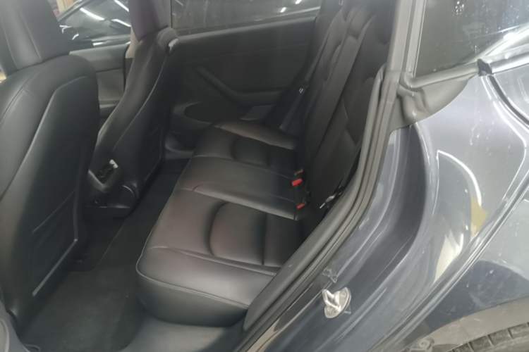 Used Tesla Model 3 2022 Performance High-Performance All-Wheel-Drive Version Left Rear Seat