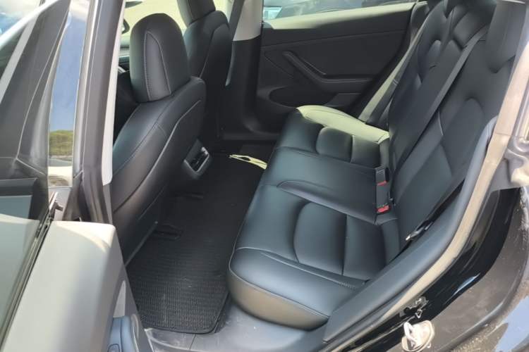 Used Tesla Model 3 2022 Rear-Wheel-Drive Version Left Rear Seat