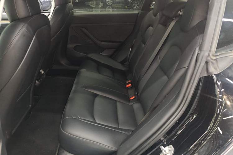 Used Tesla Model 3 2022 Rear-Wheel-Drive Version Left Rear Seat