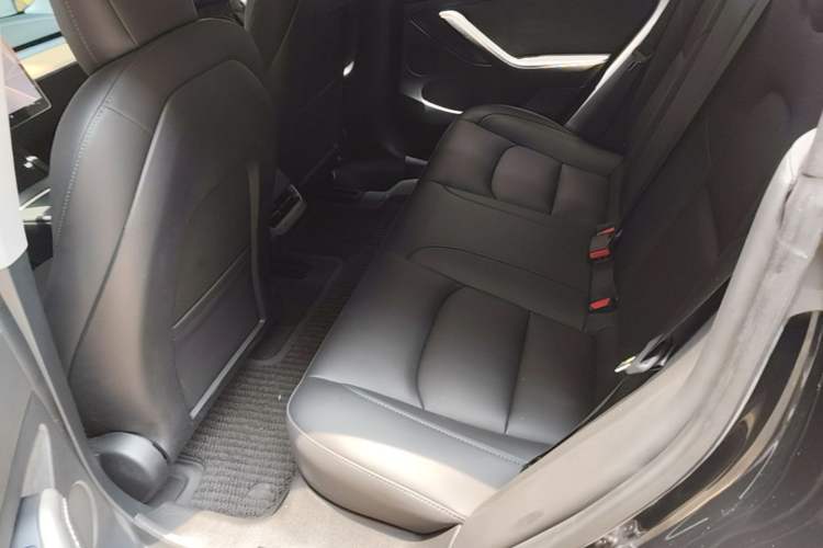 Used Tesla Model 3 2022 Rear-Wheel-Drive Version Left Rear Seat