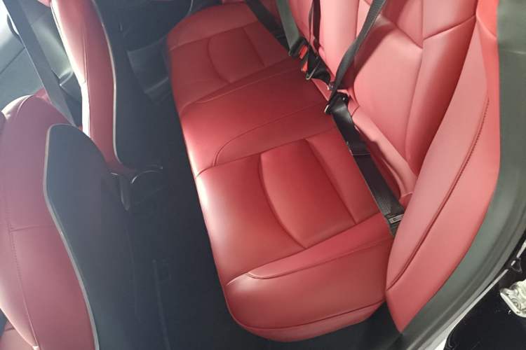 Used Tesla Model 3 2022 Rear-Wheel-Drive Version Left Rear Seat