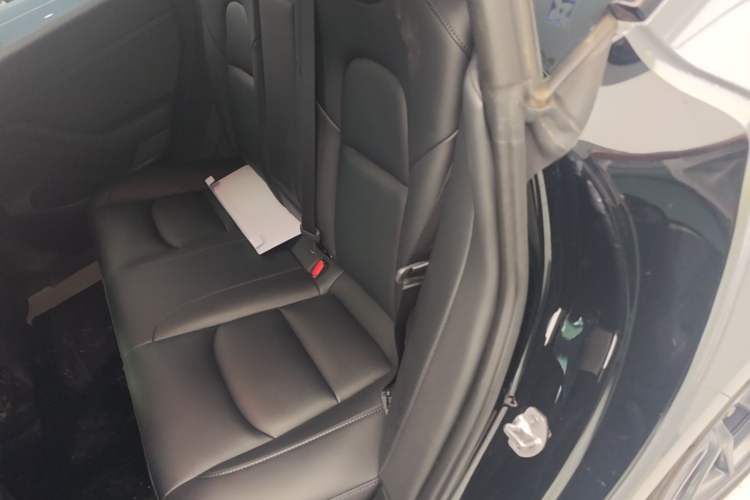 Used Tesla Model 3 2022 Rear-Wheel-Drive Version Left Rear Seat