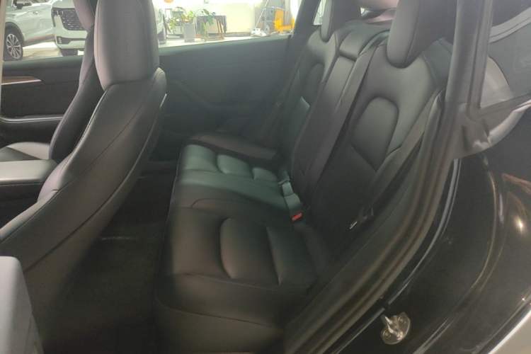 Used Tesla Model 3 2022 Rear-Wheel-Drive Version Left Rear Seat