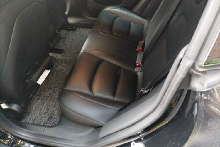 Used Tesla Model 3 2022 Rear-Wheel-Drive Version Left Rear Seat