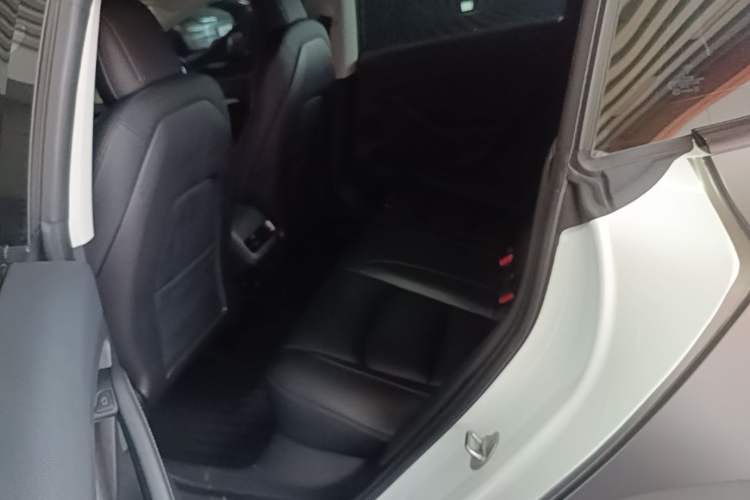 Used Tesla Model 3 2022 Rear-Wheel-Drive Version Left Rear Seat