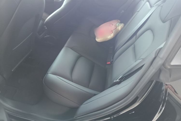 Used Tesla Model 3 2022 Rear-Wheel-Drive Version Left Rear Seat