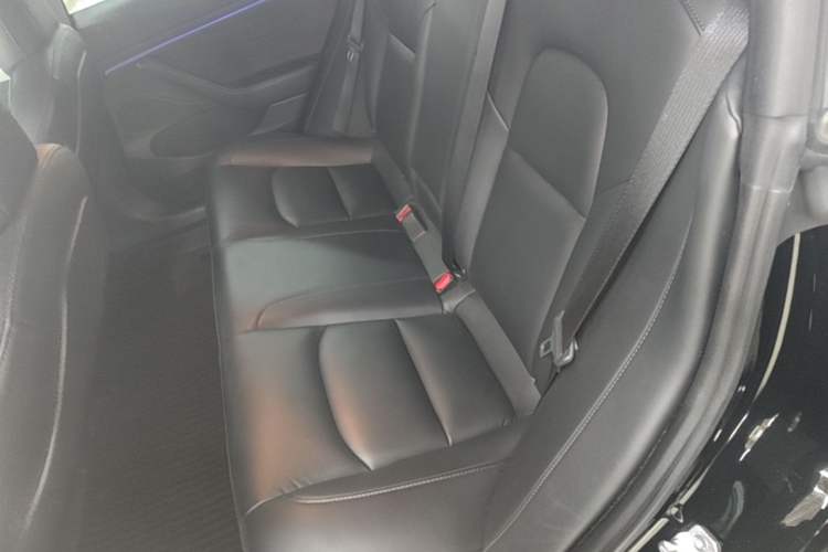 Used Tesla Model 3 2022 Rear-Wheel-Drive Version Left Rear Seat