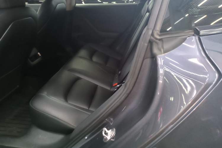 Used Tesla Model 3 2022 Rear-Wheel-Drive Version Left Rear Seat