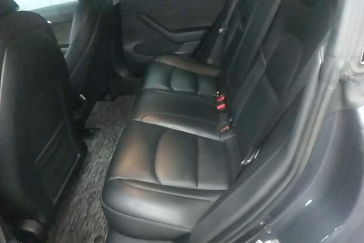 Used Tesla Model 3 2022 Rear-Wheel-Drive Version Left Rear Seat