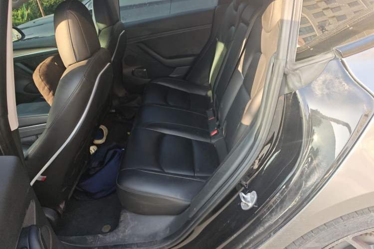 Used Tesla Model 3 2022 Performance High-Performance All-Wheel-Drive Version Left Rear Seat