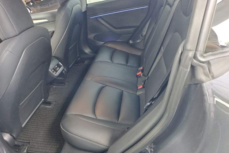 Used Tesla Model 3 2022 Rear-Wheel-Drive Version Left Rear Seat