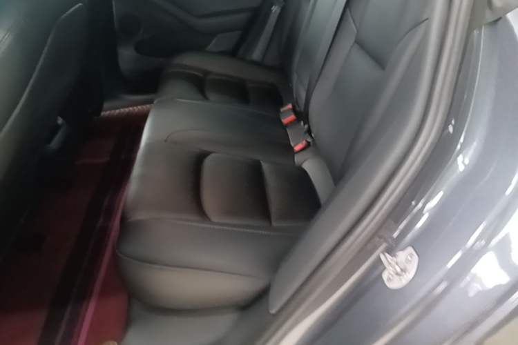 Used Tesla Model 3 2022 Rear-Wheel-Drive Version Left Rear Seat