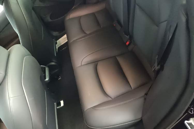Used Tesla Model 3 2022 Rear-Wheel-Drive Version Left Rear Seat
