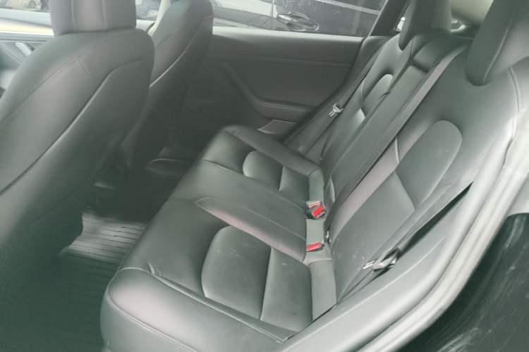 Used Tesla Model 3 2022 Rear-Wheel-Drive Version Left Rear Seat