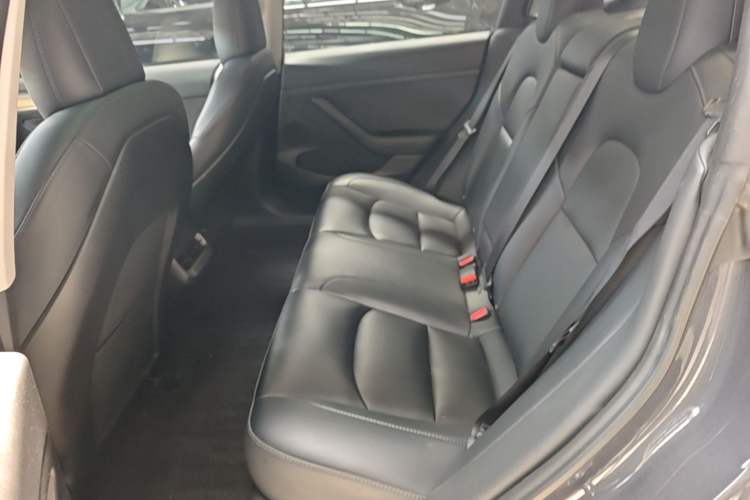Used Tesla Model 3 2022 Performance High-Performance All-Wheel-Drive Version Left Rear Seat