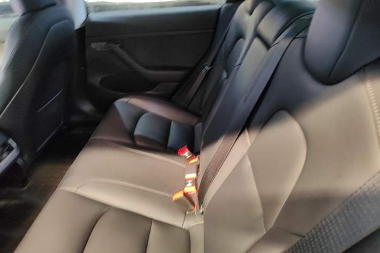 Used Tesla Model 3 2022 Rear-Wheel-Drive Version Left Rear Seat