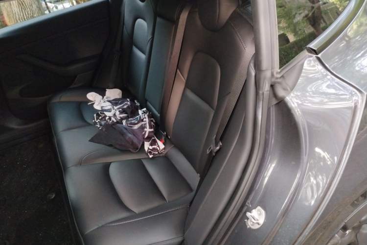 Used Tesla Model 3 2022 Rear-Wheel-Drive Version Left Rear Seat