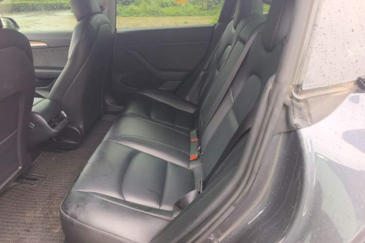 Used Tesla Model 3 2022 Rear-Wheel-Drive Version Left Rear Seat