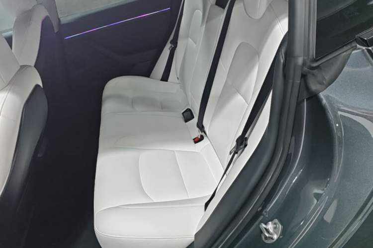 Used Tesla Model 3 2022 Rear-Wheel-Drive Version Left Rear Seat