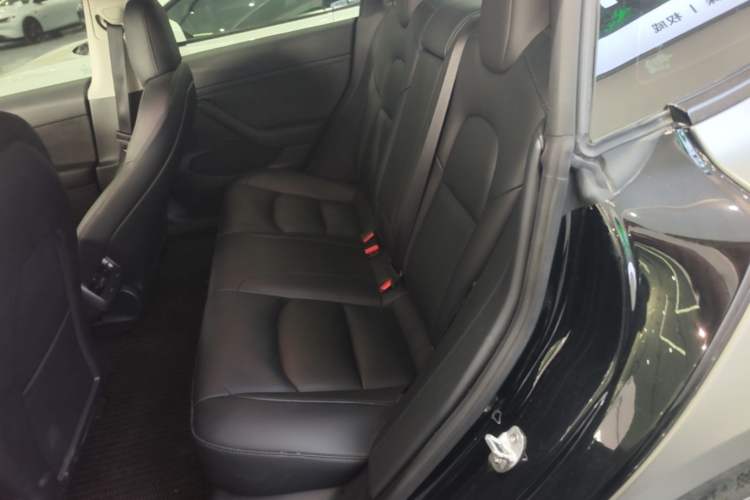 Used Tesla Model 3 2022 Rear-Wheel-Drive Version Left Rear Seat