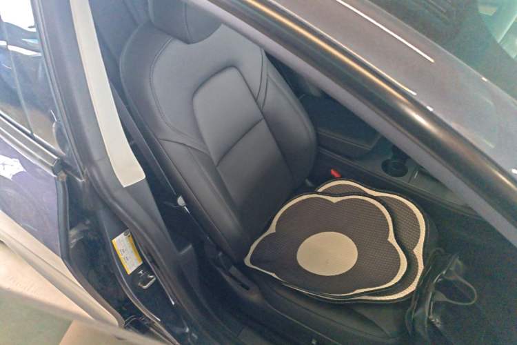 Used Tesla Model 3 2022 Rear-Wheel-Drive Version Right Front Seat