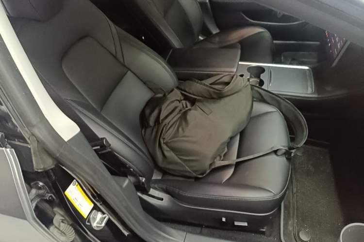 Used Tesla Model 3 2022 Rear-Wheel-Drive Version Right Front Seat