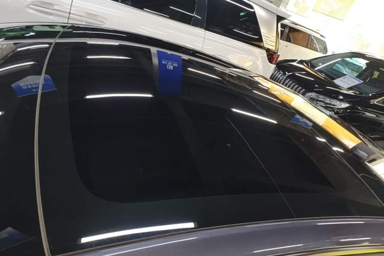 Used Tesla Model 3 2022 Rear-Wheel-Drive Version Roof