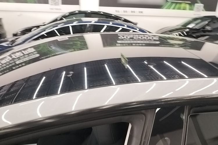 Used Tesla Model 3 2022 Performance High-Performance All-Wheel-Drive Version Roof