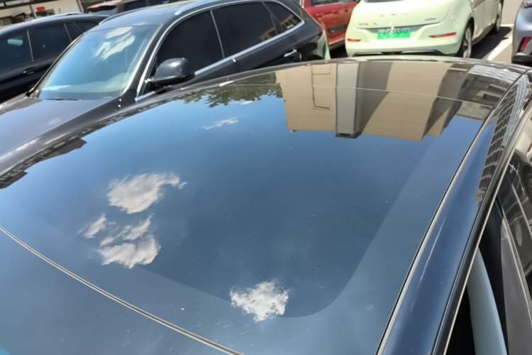 Used Tesla Model 3 2022 Rear-Wheel-Drive Version Roof