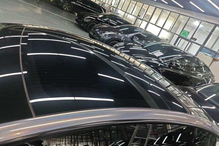 Used Tesla Model 3 2022 Rear-Wheel-Drive Version Roof