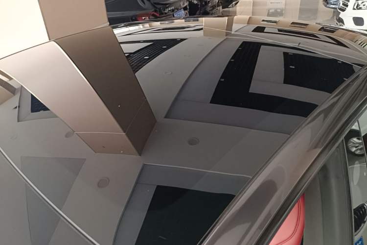Used Tesla Model 3 2022 Rear-Wheel-Drive Version Roof
