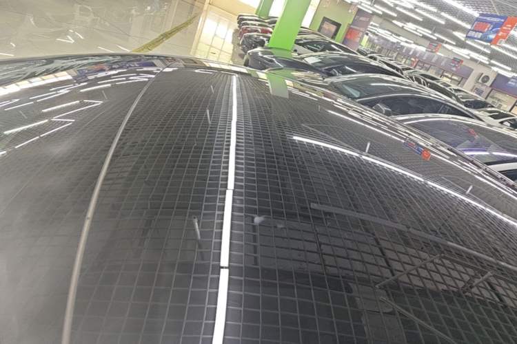 Used Tesla Model 3 2022 Rear-Wheel-Drive Version Roof