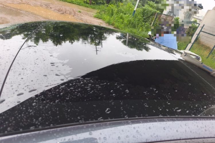 Used Tesla Model 3 2022 Rear-Wheel-Drive Version Roof