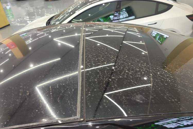 Used Tesla Model 3 2022 Rear-Wheel-Drive Version Roof