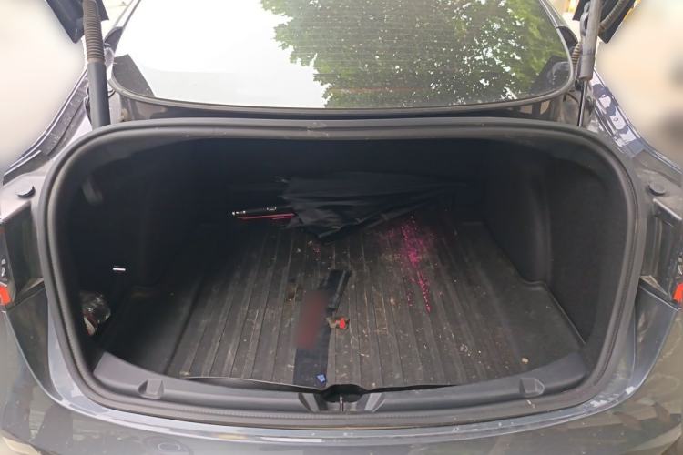 Used Tesla Model 3 2022 Rear-Wheel-Drive Version Trunk