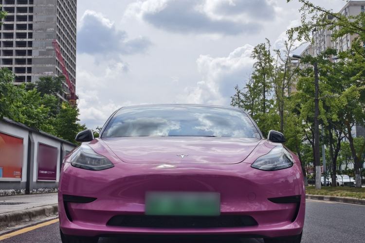 Used Tesla Model 3 2022 Rear-Wheel-Drive Version Exterior 1