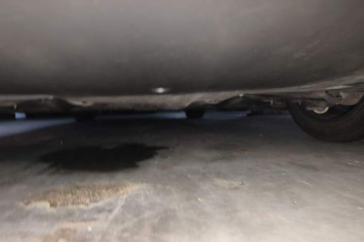 Used Tesla Model 3 2022 Rear-Wheel-Drive Version Chassis Rear
