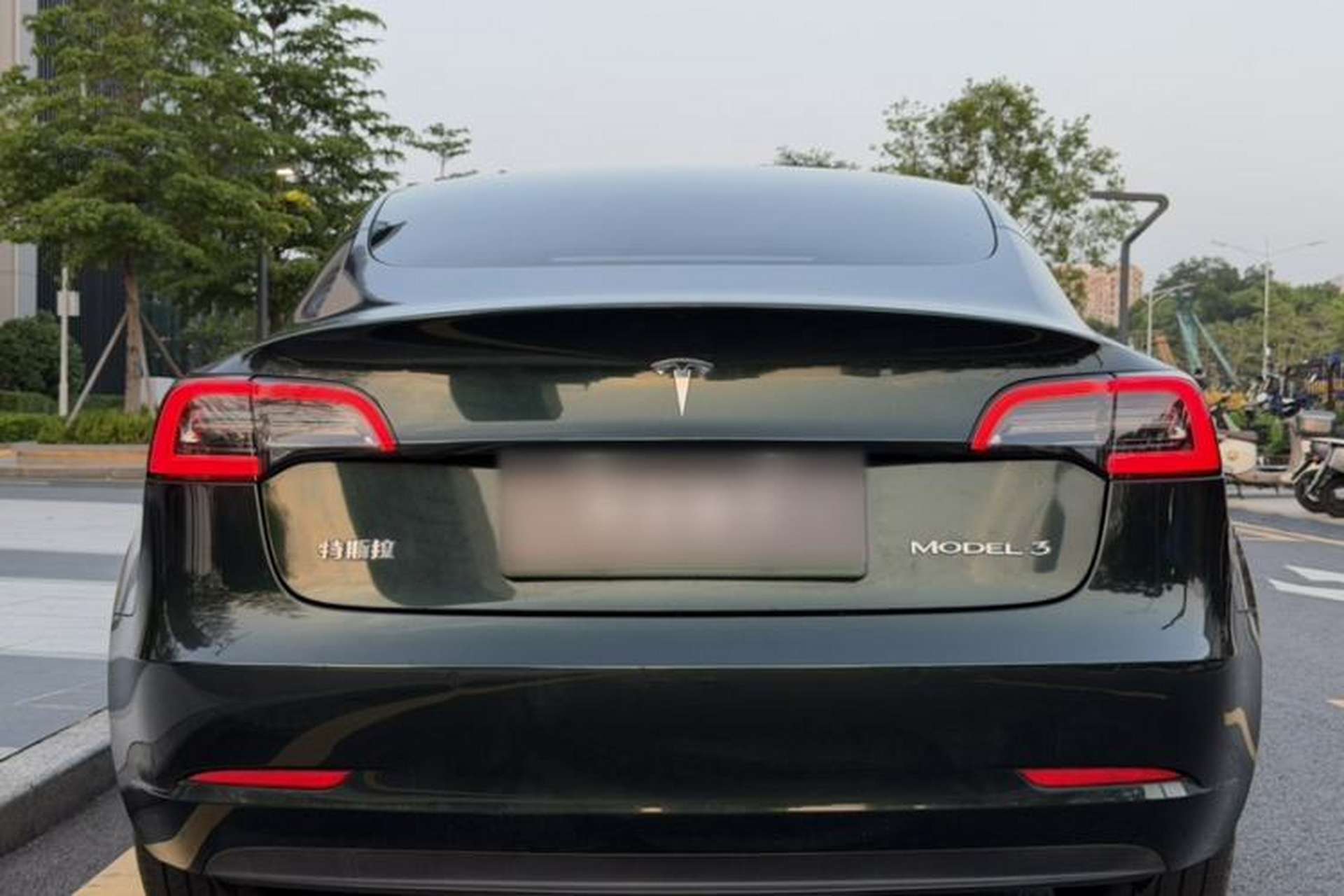 Used Tesla Model 3 2022 Rear-Wheel-Drive Version Exterior 5