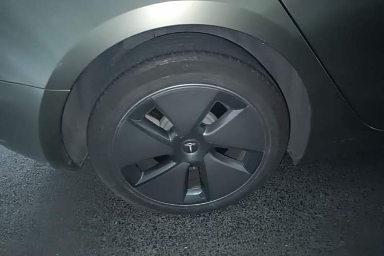 Used Tesla Model 3 2022 Rear-Wheel-Drive Version Exterior 5