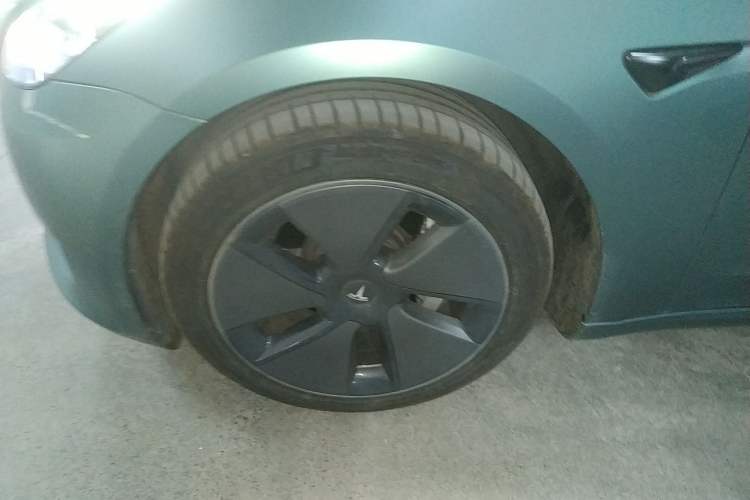 Used Tesla Model 3 2022 Rear-Wheel-Drive Version Exterior 7