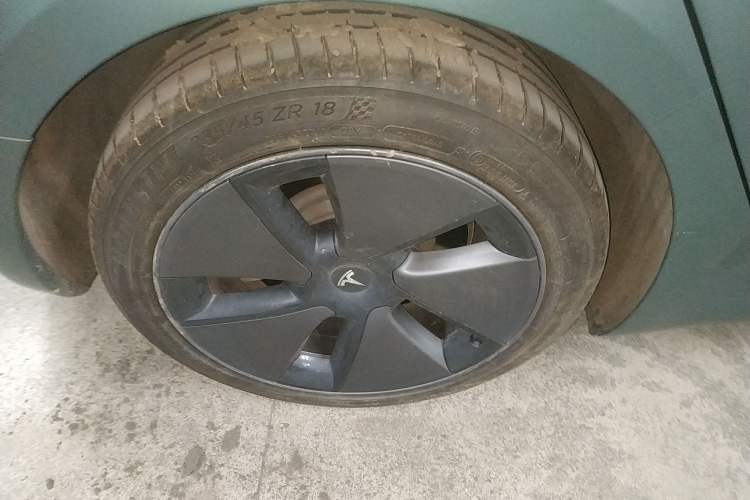 Used Tesla Model 3 2022 Rear-Wheel-Drive Version Exterior 8