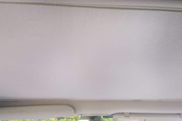 Used Tesla Model 3 2022 Rear-Wheel-Drive Version Headliner