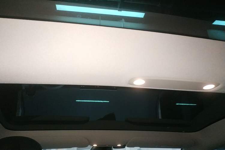 Used Tesla Model 3 2022 Rear-Wheel-Drive Version Headliner