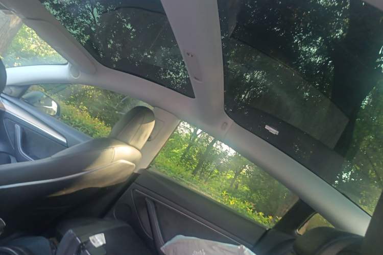 Used Tesla Model 3 2022 Rear-Wheel-Drive Version Headliner