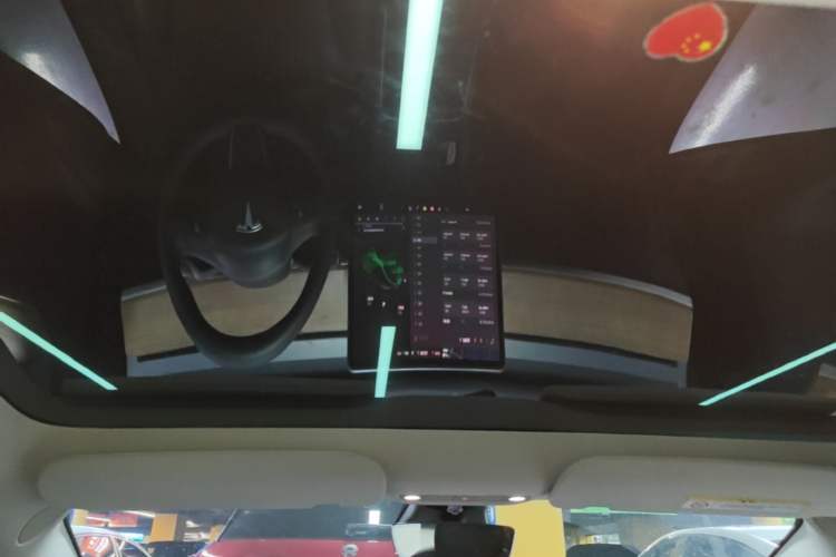 Used Tesla Model 3 2022 Rear-Wheel-Drive Version Headliner