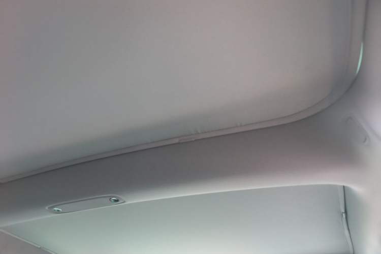 Used Tesla Model 3 2022 Rear-Wheel-Drive Version Headliner