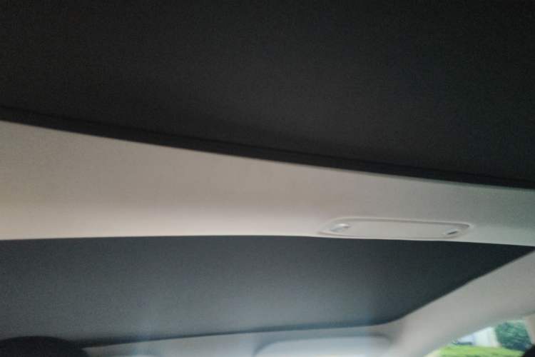 Used Tesla Model 3 2022 Rear-Wheel-Drive Version Headliner
