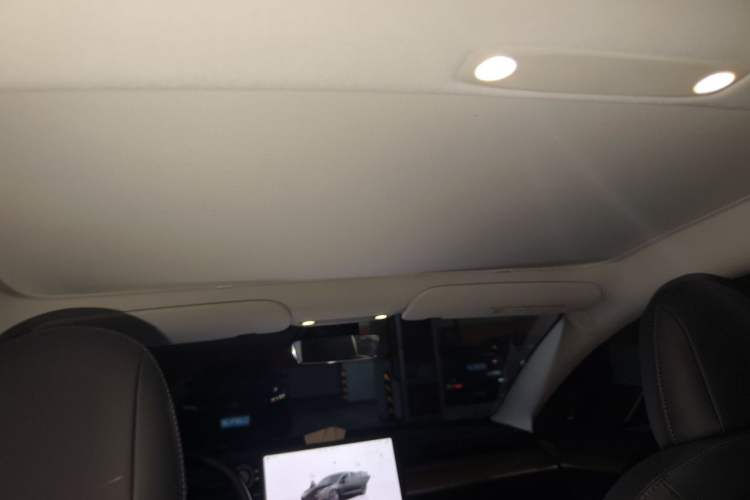 Used Tesla Model 3 2022 Rear-Wheel-Drive Version Headliner