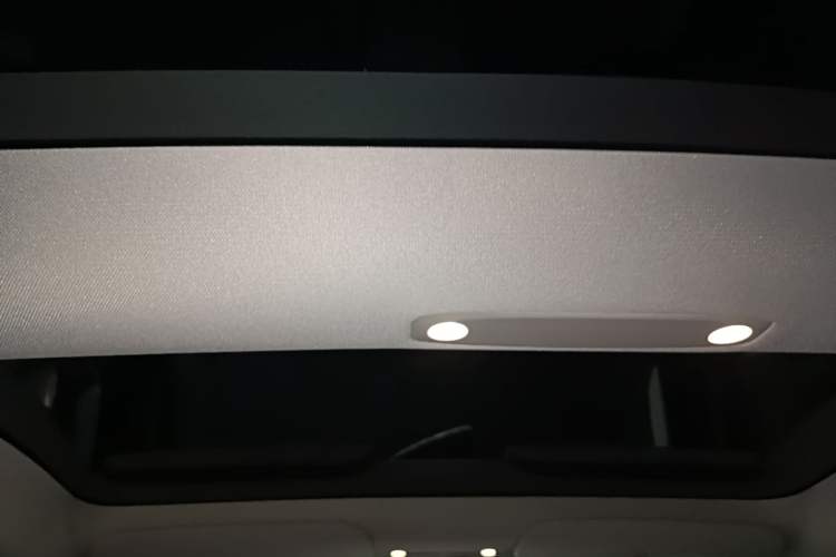 Used Tesla Model 3 2022 Rear-Wheel-Drive Version Headliner