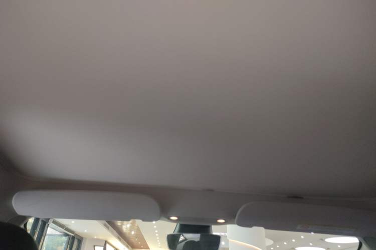 Used Tesla Model 3 2022 Rear-Wheel-Drive Version Headliner
